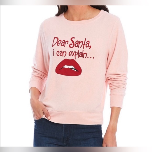 Wildfox Tops - Wildfox “Dear Santa, I Can Explain” Crew Sweatshirt NWT